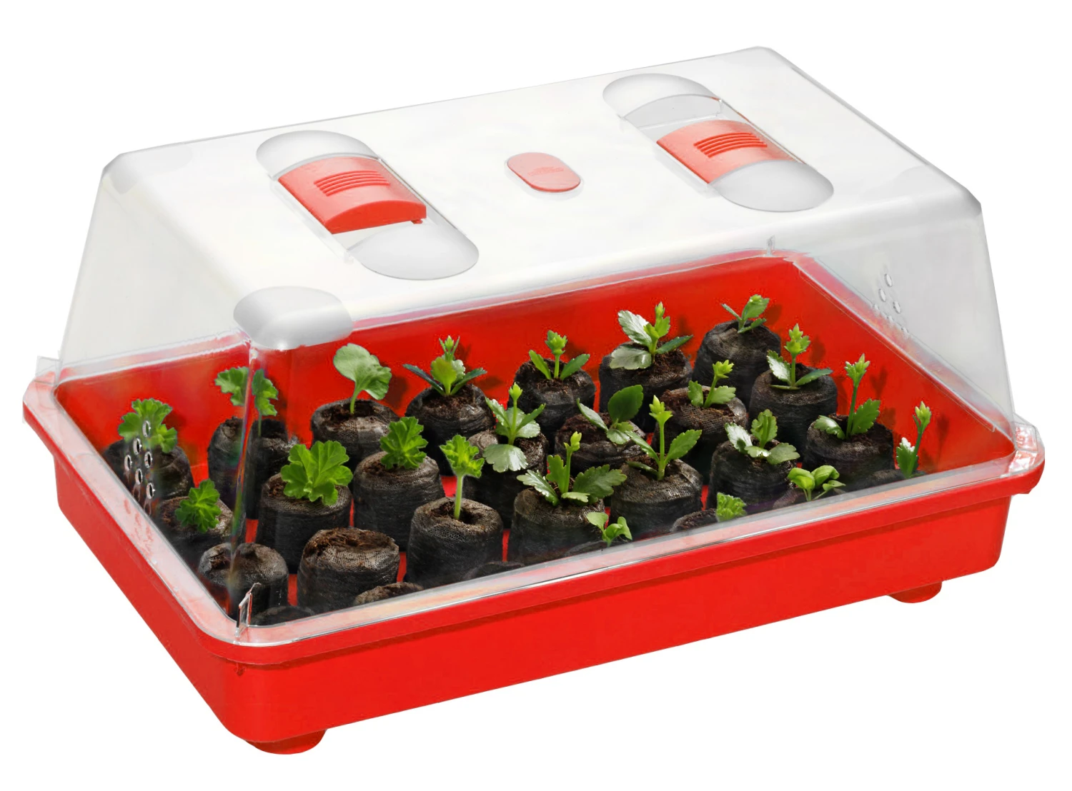 Zimmergewächshaus Marco Rot | Zimmergewächshaus Von Romberg 2 Zimmergewächshaus Marco Rot | Zimmergewächshaus Von Romberg