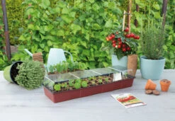 Fensterbank Gewächshaus | Zimmergewächshaus Von Sogo -Pegasus Verkaufe 548522 Fensterbank Gewaechshaus 887340 sg 2