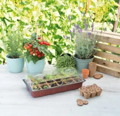 Gewächshaus (18 Töpfe) | Zimmergewächshaus Von Sogo 7 Gewächshaus (18 Töpfe) | Zimmergewächshaus Von Sogo -Pegasus Verkaufe 548523 Gewaechshaus mit 18 Toepfe 887342 sg 2