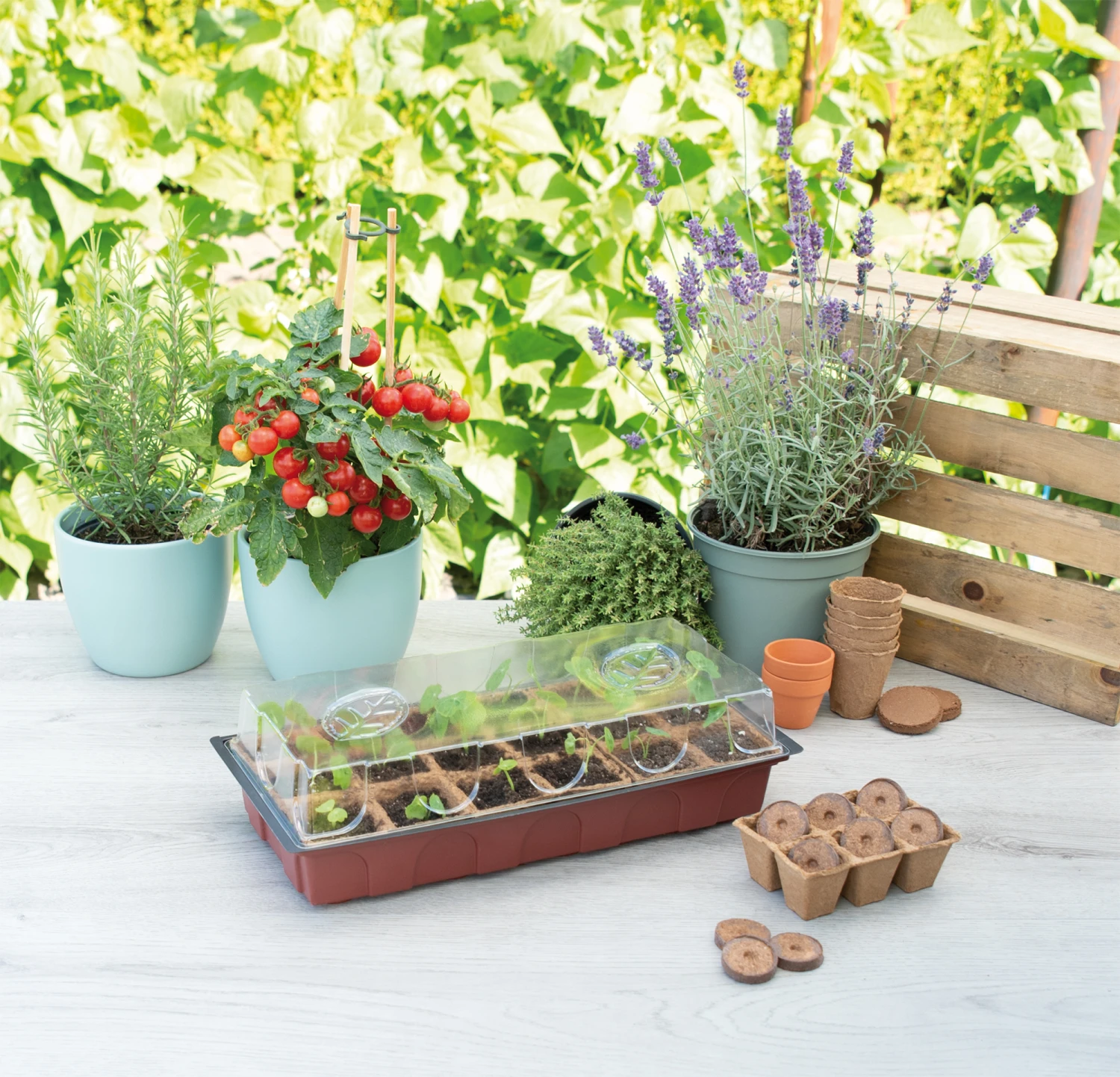 Gewächshaus (18 Töpfe) | Zimmergewächshaus Von Sogo 5 Gewächshaus (18 Töpfe) | Zimmergewächshaus Von Sogo – Bild 3