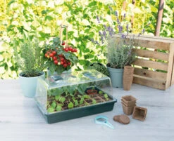 Gewächshaus Mit Belüftung | Zimmergewächshaus Von Sogo -Pegasus Verkaufe 548525 Gewaechshaus mit Belueftung 887346 sg 3