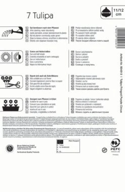 Gefranste Tulpe Purple Circus (7 Stück) | Tulpenzwiebeln Von Kiepenkerl