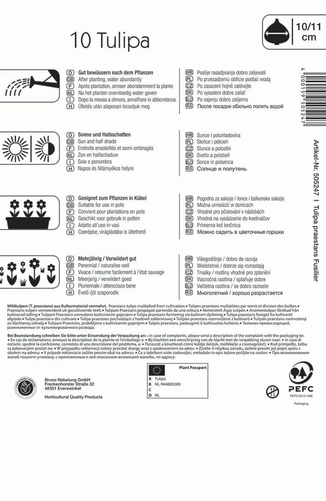Wildtulpe Praestans Fusilier (10 Stück) | Tulpenzwiebeln Von Kiepenkerl 4 Wildtulpe Praestans Fusilier (10 Stück) | Tulpenzwiebeln Von Kiepenkerl – Bild 2