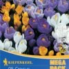 Mega-Pack Gartenkrokusmischung (25 Stück) | Krokuszwiebeln Von Kiepenkerl 1 Mega-Pack Gartenkrokusmischung (25 Stück) | Krokuszwiebeln Von Kiepenkerl -Pegasus Verkaufe 549384 Mega Pack Gartenkrokusmischung 25 Stueck 509092 0