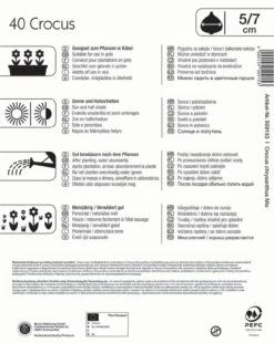 Mega-Pack Wildkrokusmischung (40 Stück) | Krokuszwiebeln Von Kiepenkerl -Pegasus Verkaufe 549385 Mega Pack Wildkrokusmischung 40 Stueck 509153 1