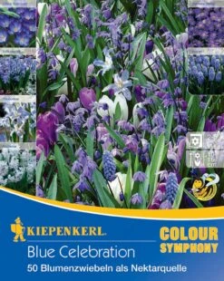 Colour Symphony Blue Celebration (50 Stück) | Blumenzwiebelmischungen Von Kiepenkerl -Pegasus Verkaufe 549391 Colour Symphony Blue Celebration 50 Stueck 544987 0