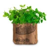 Duo-Garten Mojito | Anzuchtsets Von Baza -Pegasus Verkaufe 550262 Duo Garten Mojito 18037310 bz 1