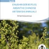 Einjähriger Beifuss | BIO Heilpflanzensamen Von Sativa Rheinau 1 Einjähriger Beifuss | BIO Heilpflanzensamen Von Sativa Rheinau -Pegasus Verkaufe 551680 BIO Einjaehriger Beifuss hp20 sr 0