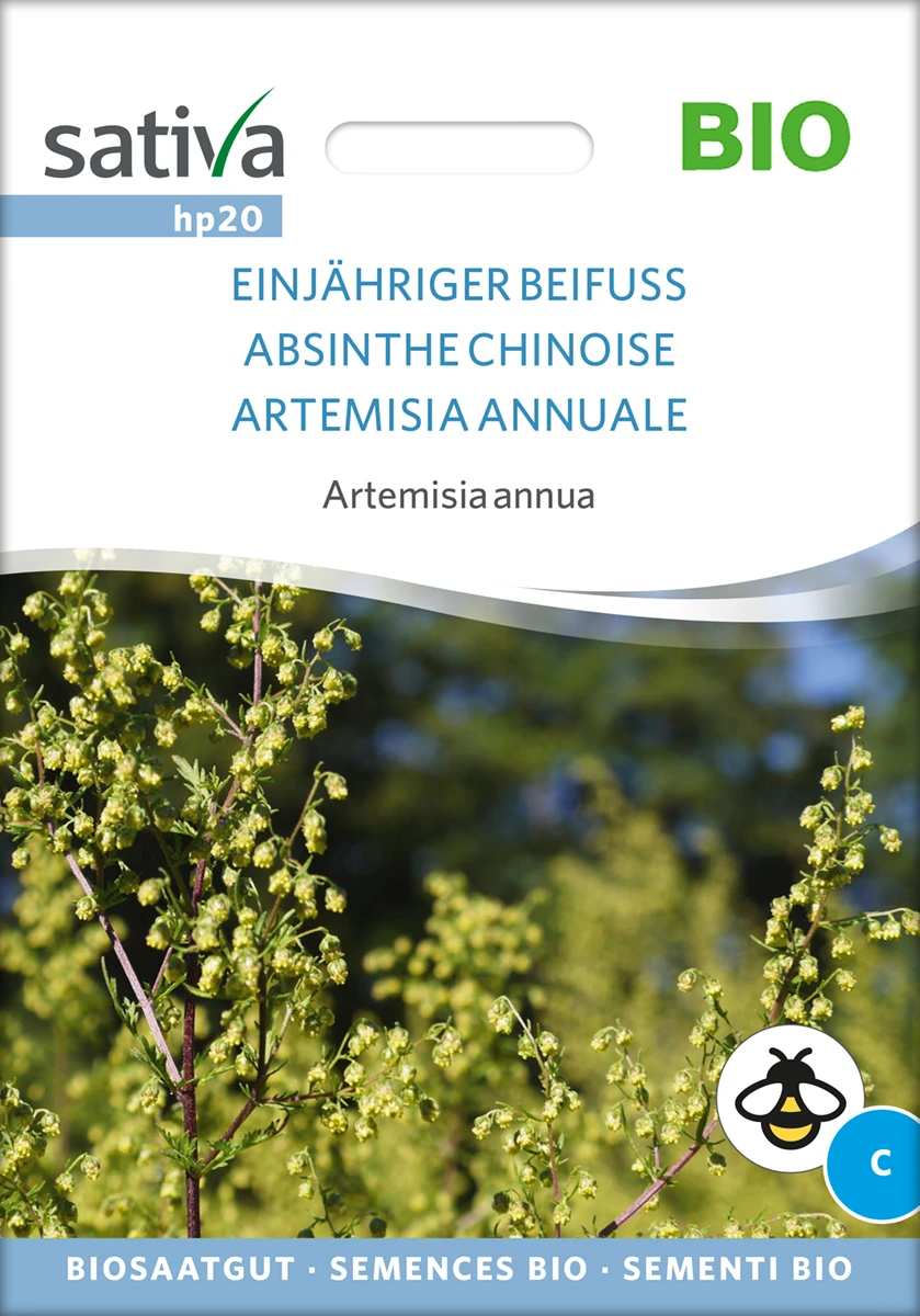 Einjähriger Beifuss | BIO Heilpflanzensamen Von Sativa Rheinau 3 Einjähriger Beifuss | BIO Heilpflanzensamen Von Sativa Rheinau