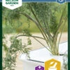 Dill Thalia | Dillsamen Von Nelson Garden -Pegasus Verkaufe 552129 Dill Thalia 90272 ng 0