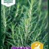 Rosmarin | Rosmarinsamen Von Nelson Garden 2 Rosmarin | Rosmarinsamen Von Nelson Garden -Pegasus Verkaufe 552207 Rosmarin 91071 ng 0