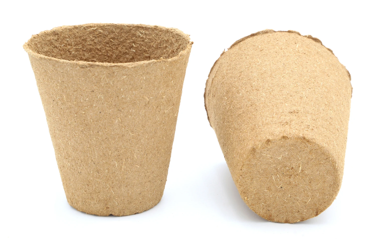 8 Cm Anzuchttopf Rund Auf Holzfaser Basis | Anzuchttöpfe Von FLORTUS 3 8 Cm Anzuchttopf Rund Auf Holzfaser Basis | Anzuchttöpfe Von FLORTUS