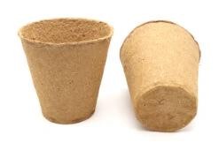 10 Cm Anzuchttopf Rund Auf Holzfaser Basis | Anzuchttöpfe Von FLORTUS 13 10 Cm Anzuchttopf Rund Auf Holzfaser Basis | Anzuchttöpfe Von FLORTUS -Pegasus Verkaufe 552305 10 cm Anzuchttopf rund auf Holzfaser Basis 15 Stueck 2000 0597 4