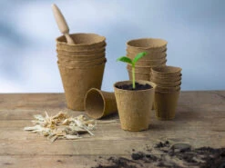 10 Cm Anzuchttopf Rund Auf Holzfaser Basis | Anzuchttöpfe Von FLORTUS 12 10 Cm Anzuchttopf Rund Auf Holzfaser Basis | Anzuchttöpfe Von FLORTUS -Pegasus Verkaufe 552305 10 cm Anzuchttopf rund auf Holzfaser Basis 15 Stueck 2000 0597 5