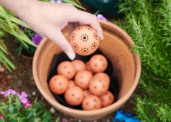 Kugeln Zur Wasserspeicherung (16 Stück) | Bewässerungskugeln Von Clever Pots -Pegasus Verkaufe 553496 Kugeln zum Speichern von Wasser 16 Stueck 445498 kp 5