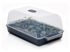 Anzucht-Gewächshaus Easy Water | Zimmergewächshaus Von Clever Pots -Pegasus Verkaufe 553911 Gewaechshaus Easy Water 050 0017 0