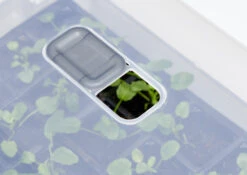 Anzucht-Gewächshaus Easy Water | Zimmergewächshaus Von Clever Pots -Pegasus Verkaufe 553911 Gewaechshaus Easy Water 050 0017 4