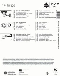 Pegasus Verkaufe -Pegasus Verkaufe 554115 Mega Pack Rembrandt Tulpen Mischung 14 Stueck 507197 1