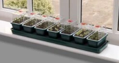 76 X 18,5 X 15 Cm Selbstbewässerungs-Anzuchtset Super 7 | Zimmergewächshaus Von Garland