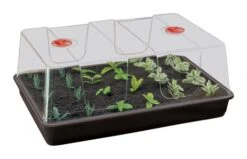 58 X 40,5 X 22,5 Cm Zimmergewächshaus High Dome XL Schwarz Mit Verstellbarer Luftzirkulation | Anzuchtzubehör Von Garland -Pegasus Verkaufe 558793 58 x 40 5 x 22 5 cm Zimmergewaechshaus High Dome XL schwarz mit verstellbarer Luftzirkulation G155B gl 0