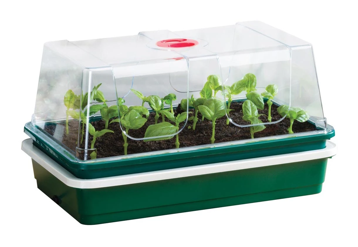 38,5 X 24 X 20 Cm Elektrisches Zimmergewächshaus One Top | Zimmergewächshaus Von Garland 4 38,5 X 24 X 20 Cm Elektrisches Zimmergewächshaus One Top | Zimmergewächshaus Von Garland – Bild 2