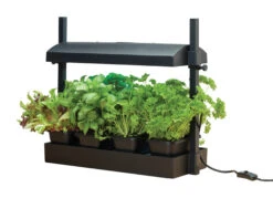 Micro Grow Light Garten | Zimmergewächshaus Von Garland -Pegasus Verkaufe 558806 50 x 20 x 45 cm Micro Grow Light Garten Schwarz G187BEU gl 0