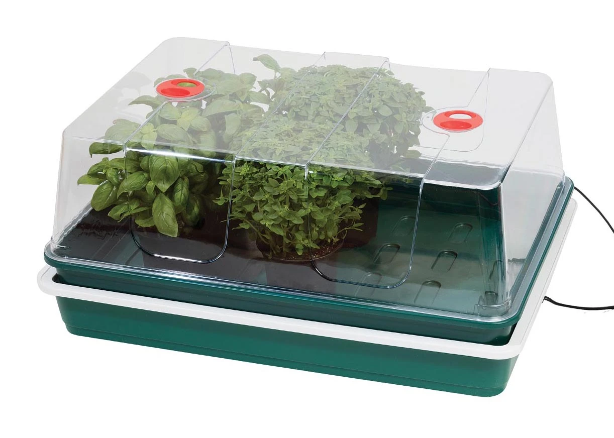 Elektrisches Zimmergewächshaus Mit Temperaturregelung | Zimmergewächshaus Von Garland 3 Elektrisches Zimmergewächshaus Mit Temperaturregelung | Zimmergewächshaus Von Garland