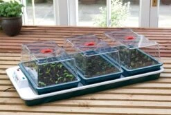 80,5 X 41 X 20 Cm Elektrisches Zimmergewächshaus Big 3 (3 Stück) | Zimmergewächshaus Von Garland 7 80,5 X 41 X 20 Cm Elektrisches Zimmergewächshaus Big 3 (3 Stück) | Zimmergewächshaus Von Garland -Pegasus Verkaufe 558839 80 5 x 41 x 20 cm Elektrisches Zimmergewaechshaus Big 3 3 Stueck mit EU Stecker G78EU gl 2