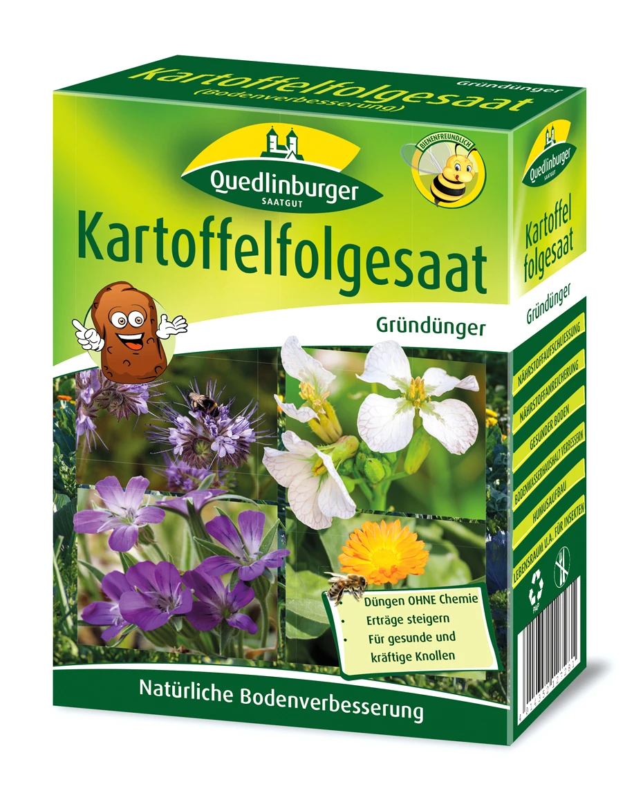 Kartoffelfolgesaat (300 G) | Bodenverbesserung Von Quedlinburger 4 Kartoffelfolgesaat (300 G) | Bodenverbesserung Von Quedlinburger – Bild 2