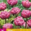 Tulpe Double Lilac (15 Stück) | Tulpenzwiebeln Von Jub Holland 1 Tulpe Double Lilac (15 Stück) | Tulpenzwiebeln Von Jub Holland -Pegasus Verkaufe 559946 Tulpe Double Lilac 15 Stueck 322394 jb 0