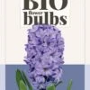 Hyazinthe Delft Blue (3 Stück) | BIO Hyazinthenzwiebeln Von Jub Holland -Pegasus Verkaufe 560032 BIO Hyazinthe Delft Blue 3 Stueck 325030 jb 0