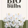 Krokus Jeanne D'Arc (10 Stück) | BIO Krokuszwiebeln Von Jub Holland -Pegasus Verkaufe 560054 BIO Krokus Jeanne d Arc 10 Stueck 325470 jb 0