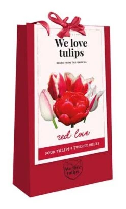 We Love Tulips, Red Love (20 Stück) | Tulpenzwiebeln Von Jub Holland