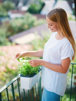 HARRY HERBS Kräutertopf Weiß | Kräutertöpfe Von Gusta Garden -Pegasus Verkaufe 560336 HARRY HERBS weiss 102B10 gg 1