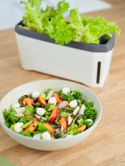 HARRY HERBS Kräutertopf Weiß | Kräutertöpfe Von Gusta Garden -Pegasus Verkaufe 560336 HARRY HERBS weiss 102B10 gg 4