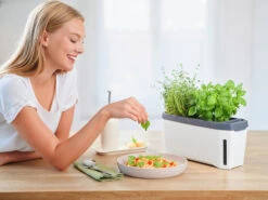 HARRY HERBS Kräutertopf Weiß | Kräutertöpfe Von Gusta Garden -Pegasus Verkaufe 560336 HARRY HERBS weiss 102B10 gg 8