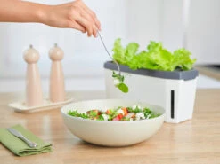 HARRY HERBS Weiß Ohne Haube | Kräutertöpfe Von Gusta Garden -Pegasus Verkaufe 560337 HARRY HERBS weiss ohne Haube 102B20 gg 5