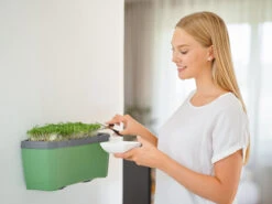 HARRY HERBS Dunkelgrün Ohne Haube | Kräutertöpfe Von Gusta Garden -Pegasus Verkaufe 560339 HARRY HERBS dunkelgruen ohne Haube 103B20 gg 3