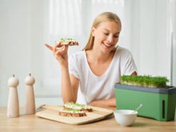 HARRY HERBS Dunkelgrün Ohne Haube | Kräutertöpfe Von Gusta Garden -Pegasus Verkaufe 560339 HARRY HERBS dunkelgruen ohne Haube 103B20 gg 5