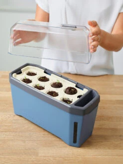 HARRY HERBS Kräutertopf Blau | Kräutertöpfe Von Gusta Garden -Pegasus Verkaufe 560340 HARRY HERBS blau 104B10 gg 1