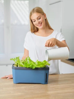 HARRY HERBS Kräutertopf Blau | Kräutertöpfe Von Gusta Garden -Pegasus Verkaufe 560340 HARRY HERBS blau 104B10 gg 2