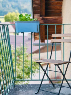 HARRY HERBS Kräutertopf Blau | Kräutertöpfe Von Gusta Garden -Pegasus Verkaufe 560340 HARRY HERBS blau 104B10 gg 7