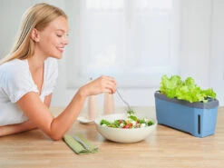 HARRY HERBS Blau Ohne Haube | Kräutertöpfe Von Gusta Garden -Pegasus Verkaufe 560341 HARRY HERBS blau ohne Haube 104B20 gg 7