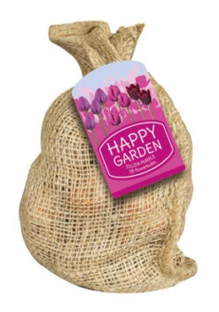 Happy Garden Tulpen Mischung Lila (35 Stück) | Blumenzwiebelmischungen Von Jub Holland