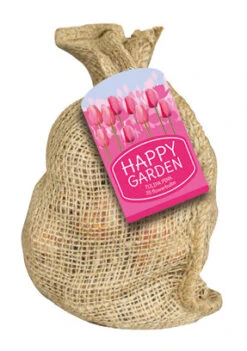 Happy Garden Tulpen Mischung Pink (35 Stück) | Blumenzwiebelmischungen Von Jub Holland