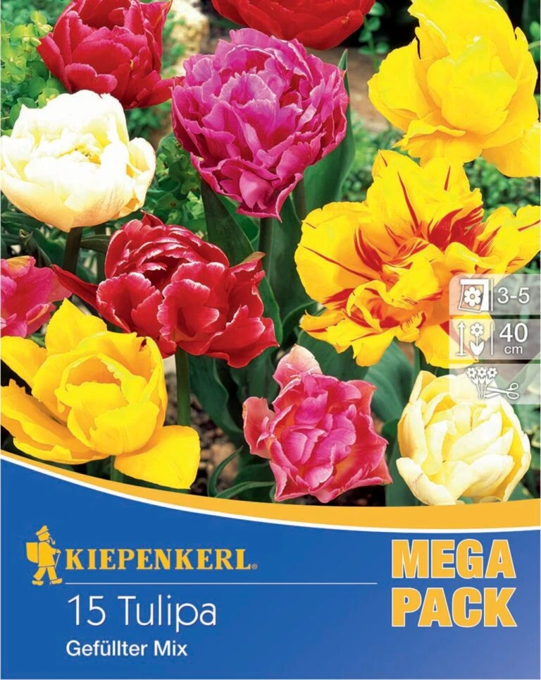 Pegasus Verkaufe -Pegasus Verkaufe 533586 Mega Pack Gefuellte Tulpen Mischung 15 Stueck 506930 0 768x964 1